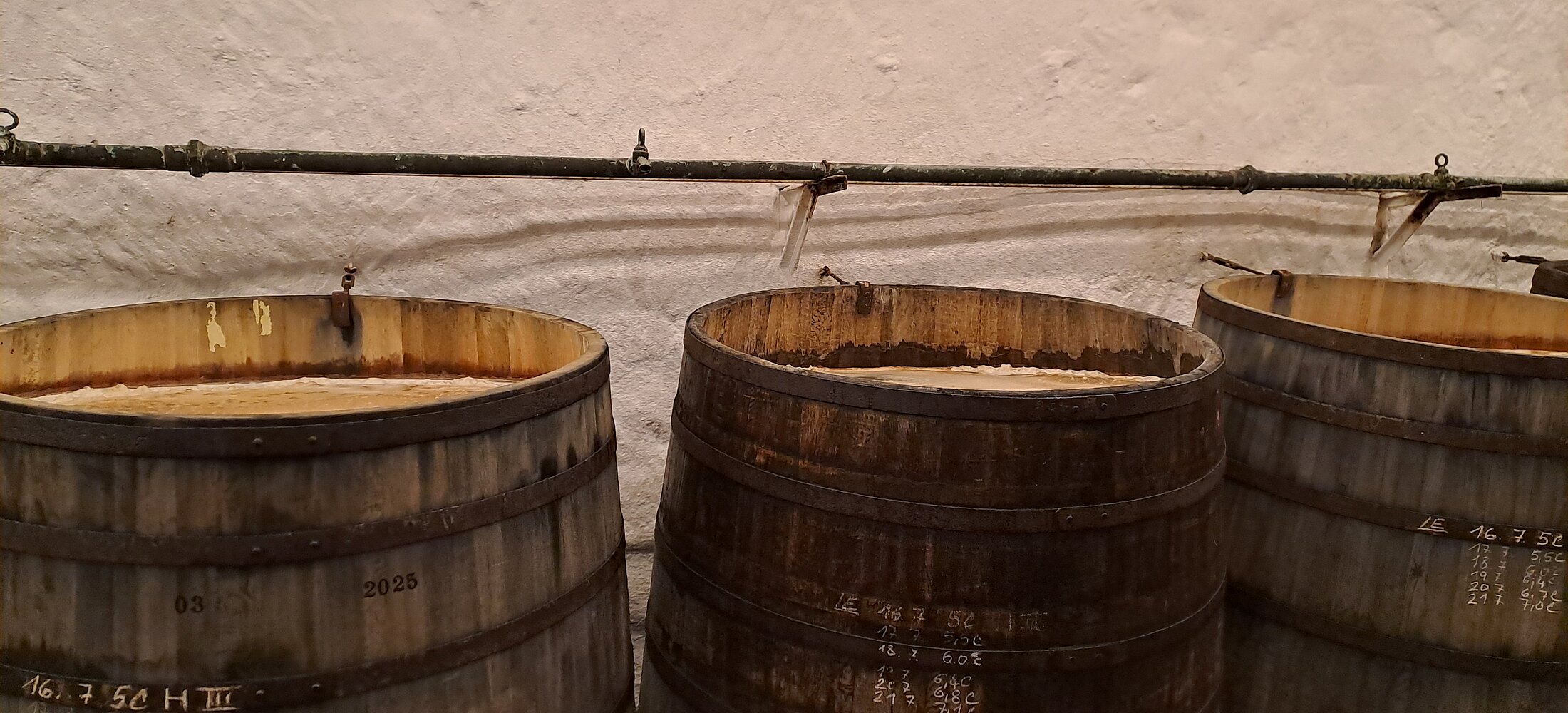 Pilsener Urquell in Holzfässern