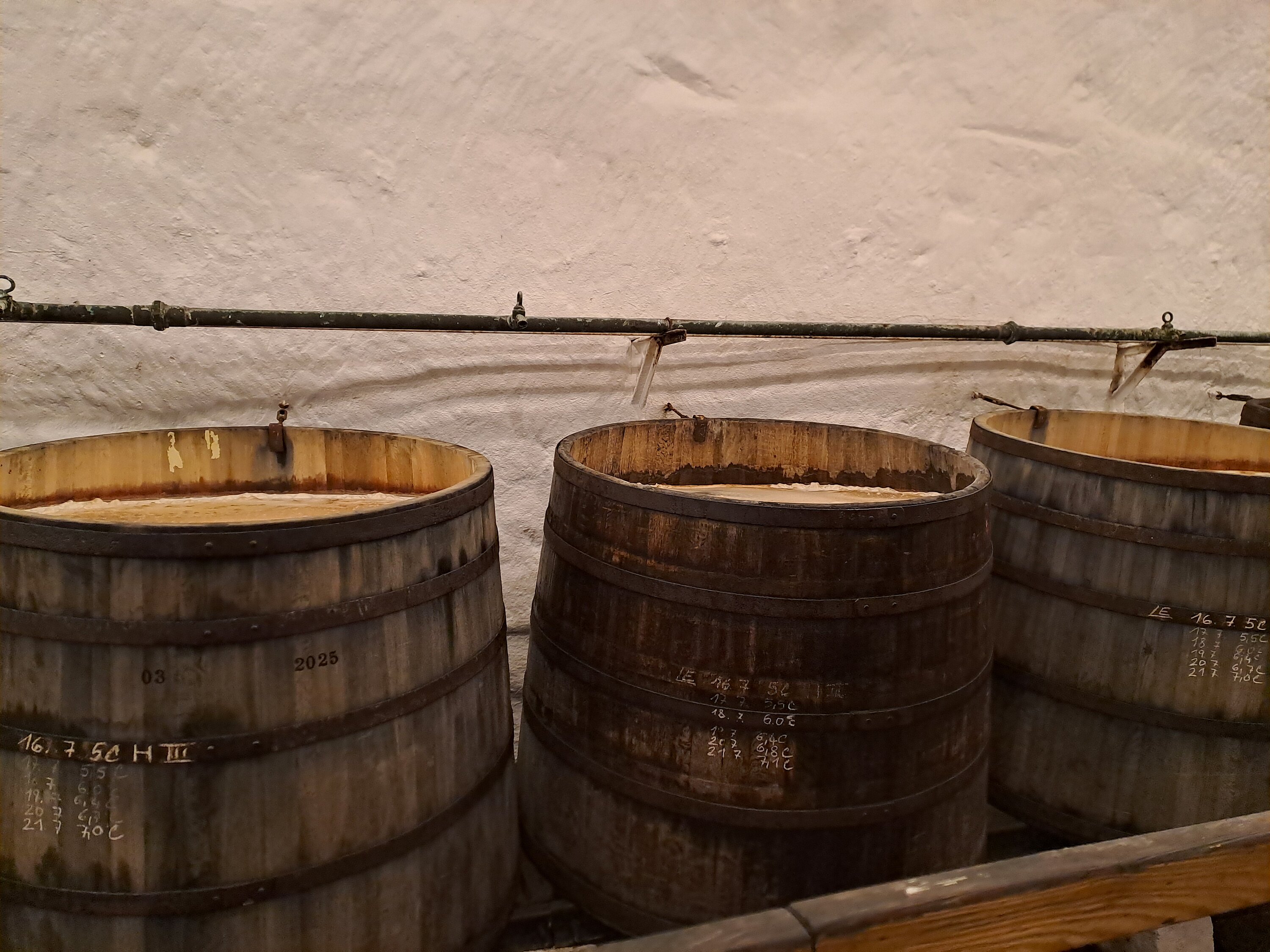 Pilsener Urquell in Holzfässern