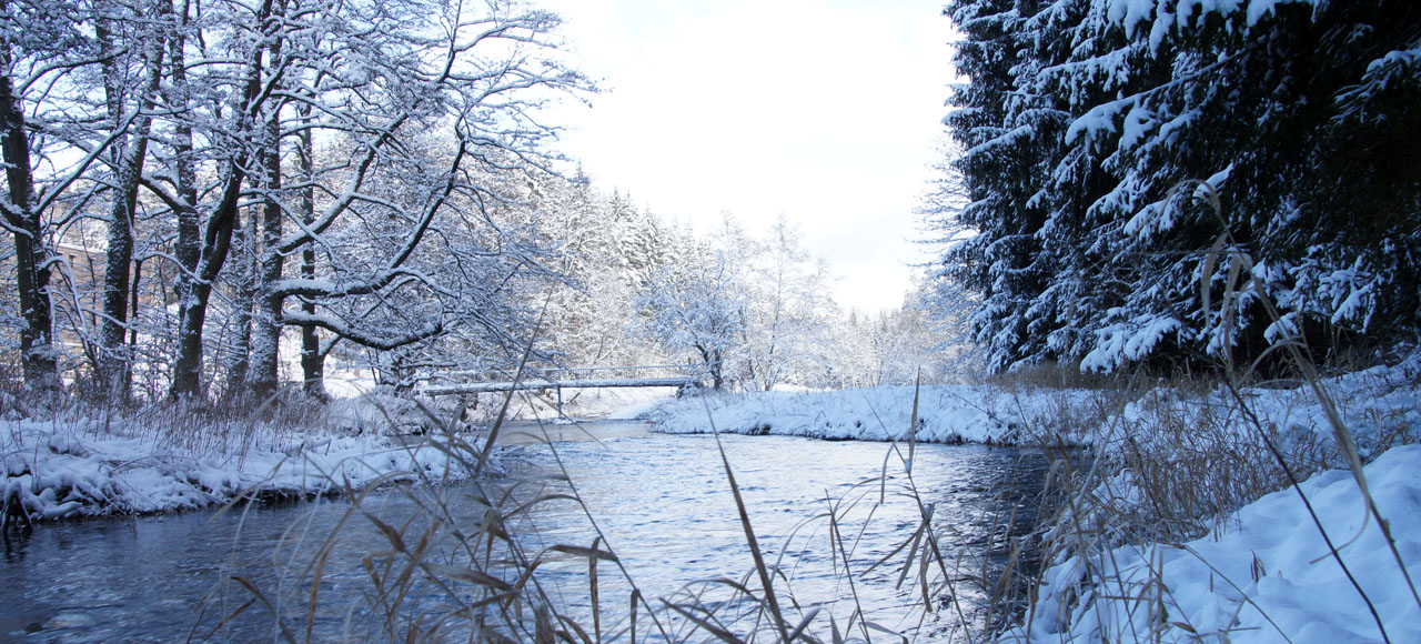 Bilderbuchlandschaft im Johannisthal