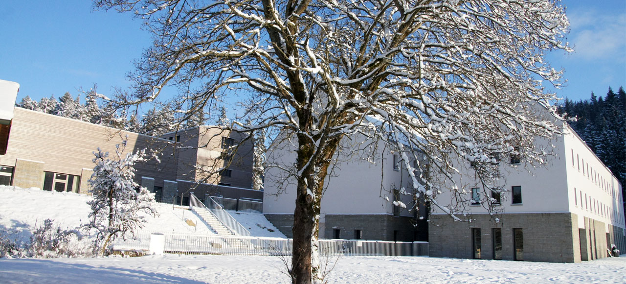 Weihnachten im Johannisthal